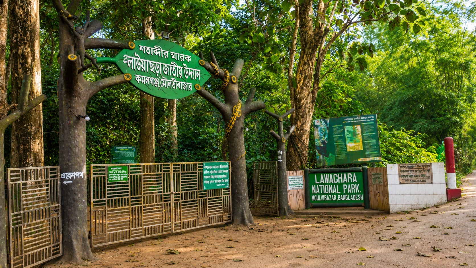 6 Trek Inside Lawachara National Park