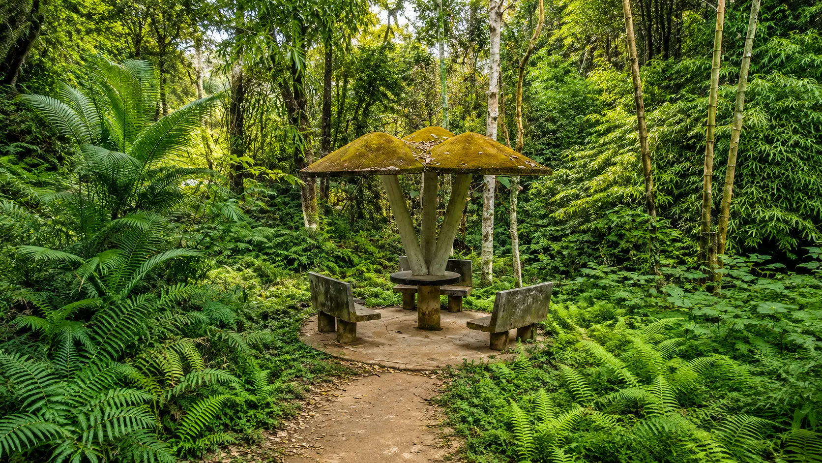 11 Walk the Trails at Khadim Nagar National Park