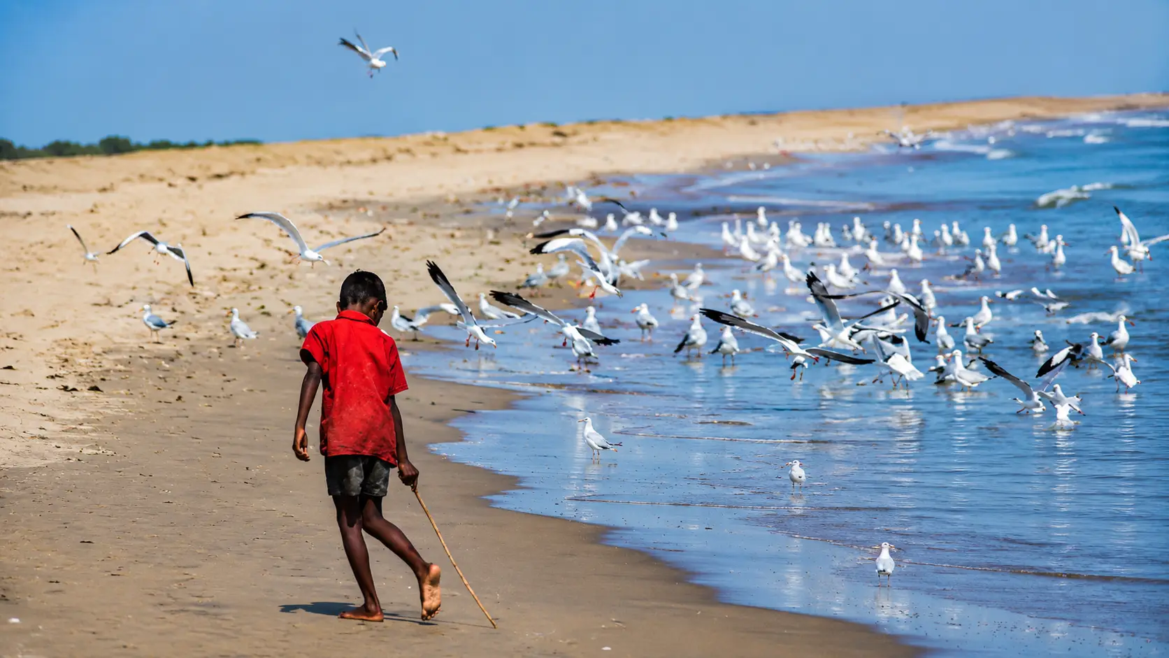 Go Bird Watching at Sonadia Island